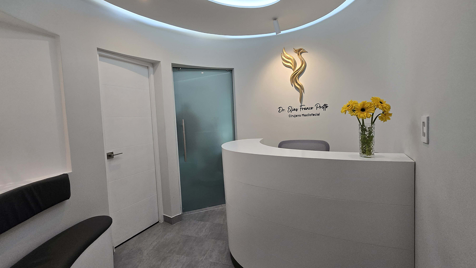Fenix Clinic — detalle final