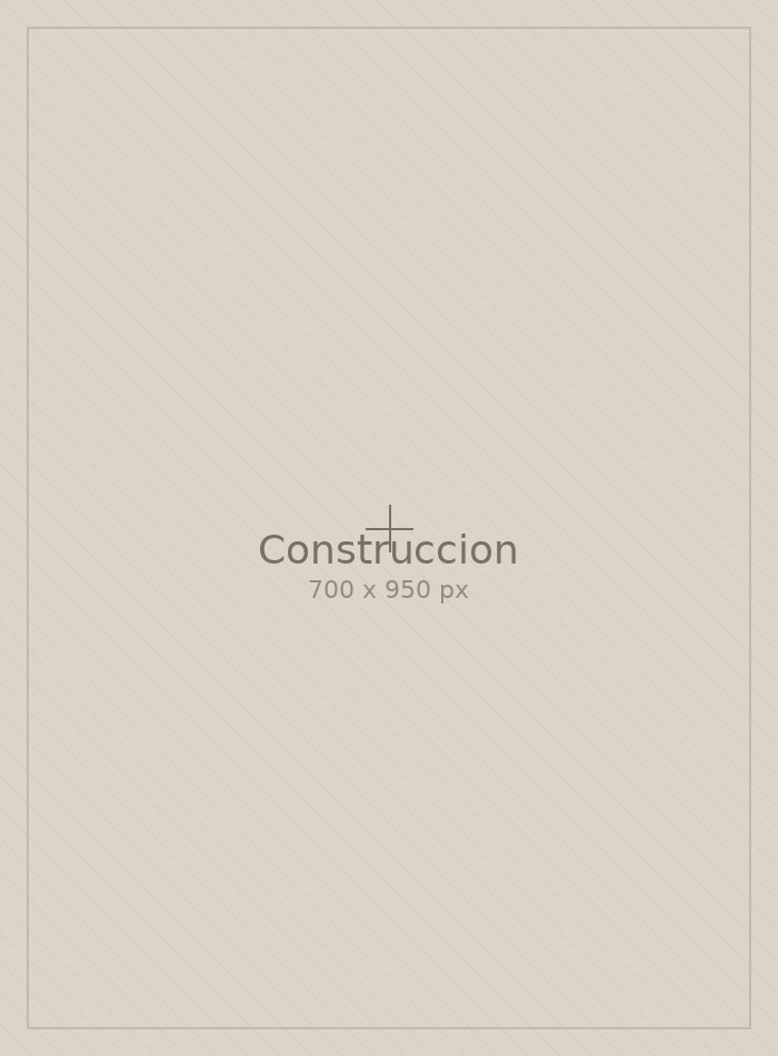 Construcción